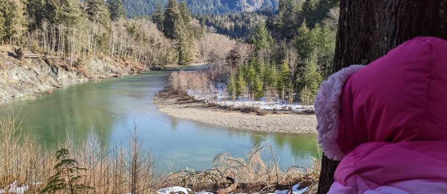 When Dreams are Emerging